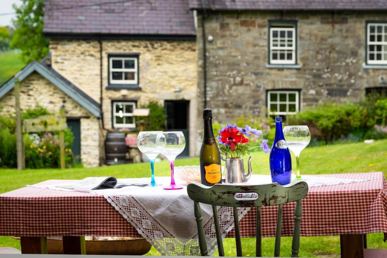 Villa Nantgwynfaen Organic Farm Wales Llandysul Exterior foto