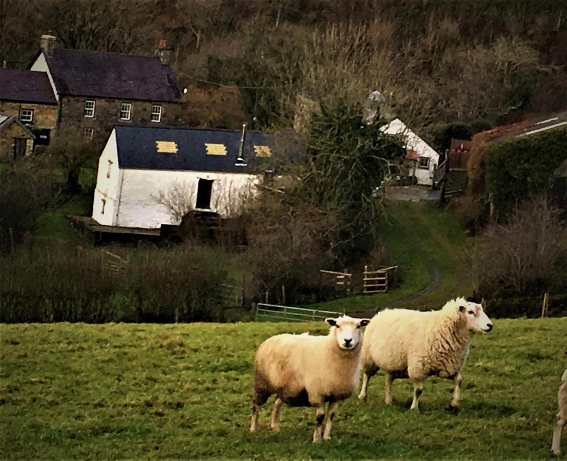 Villa Nantgwynfaen Organic Farm Wales Llandysul Exterior foto